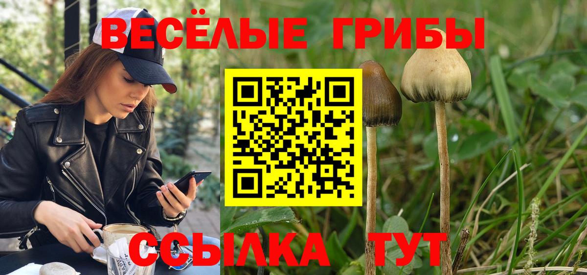 Галлюциногенные грибы Cubensis  Галлюциногенные грибы мицелий  Вход с VPN  Щёлково 